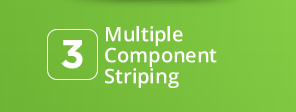 Multiple Component Striping